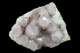 Cactus Quartz (Amethyst) Crystal Cluster - South Africa #132527-1